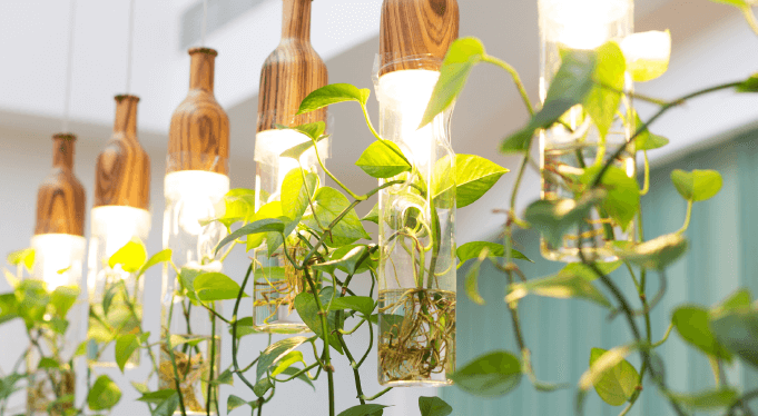 DE STEK duurzame kantoorruimte Groningen