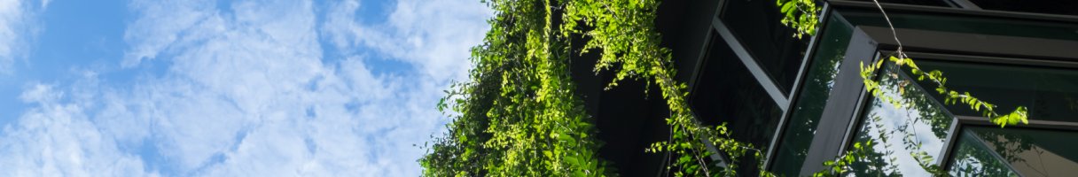 Nieuws kantoor DE STEK Groningen